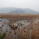 지촌초등학교 이미지