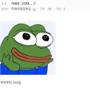 그린헬프.디씨