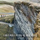 그린델발트에서 피르스트 가는 법 웹캠 곤돌라 티켓 하이킹 10월 날씨 후기