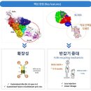 유한회사해온 이미지