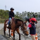 창수초교 이미지