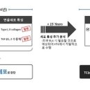 국산 인보사도 신장유래세포로 확인,정밀 조사 후 허가취소 여부 결정 이미지