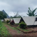 건기속옷 이미지