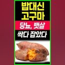 밥대신 고구마 당뇨 뱃살 이미지