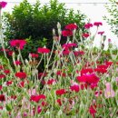 행복한 뇌건강 시니어 교실 이미지