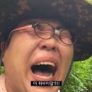 세화정형외과의원 네이버블로그