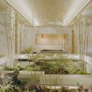 젊음 건강 그리고 행복의원 이미지