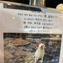 카페앙프 이미지
