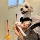 로엘유치원 이미지