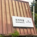모리마을펜션 | [내돈내산] 가평에 위치한 &#34;모리마을펜션&#34;에 다녀왔어요