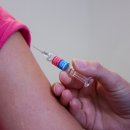 러 '가말레야 백신', 8월 중순에 임상시험 3상에 들어갈 듯 이미지