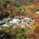 천지민박농원