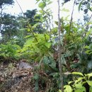 사랑은 아름다워라 이미지