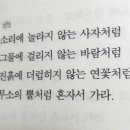 그물에걸리지않는바람처럼