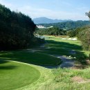 동촌스크린골프 이미지