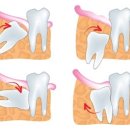 울들치과의원 이미지