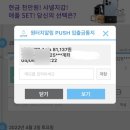 코드펫 이미지