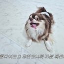 개스트룸 이미지