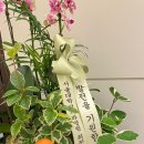 새서울플란트치과 이미지