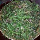 지리산민들레 이미지