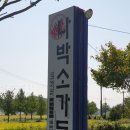 나박소가든