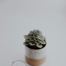 으뜸50안경삼성점 이미지