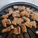 땡큐DOG동물병원 | 우만동 맛집 박프로 숙성고깃집 수원 우만동 직영점 한돈세트 후기