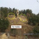 무궁화정비 이미지