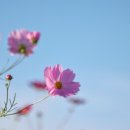 미소정신건강의학과의원 이미지