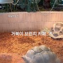 석촌호수 서호(카페 앞) 이미지