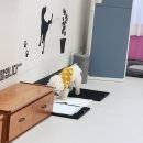 낭창한 강아지 이미지