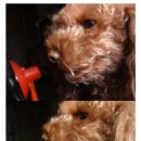 만남의광장휴게소 이미지