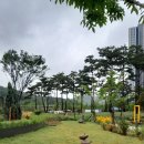 태영자이공인중개사사무소 이미지