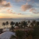 썬펠리스 이미지