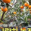 신명농장2 이미지