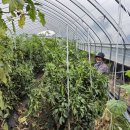 성중농장 이미지