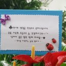 21세기 헤어샵