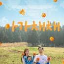 제주야 표선 | 제주 4월,5월 가볼만한곳 제주동쪽가족스냅 표선 개오름 목장