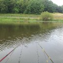 안골 낚시터 이미지