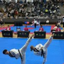 다올태권도장 이미지