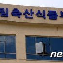 세종유통(남양유업) 이미지