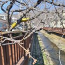 진해통상 이미지