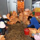 예당농장 이미지