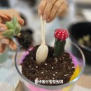 양산화분