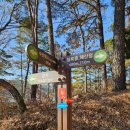 안성시현곡보건진료소 | 경기안성 금광호수하늘전망대 가는 길 풍경과 하늘전망대 뷰를 담았어요♡