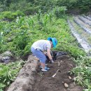 해밀계곡농장 이미지