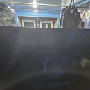 지도호 | 모항항 지도호 갑오징어 졸업식 다녀오다