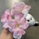 이든혜윰 이미지