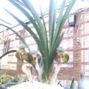 지동산촌마을 이미지