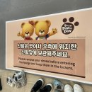 포인포라운지 이미지